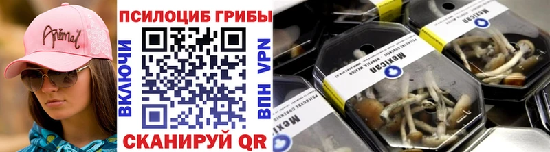 Псилоцибиновые грибы прущие грибы  хочу наркоту  Красавино 
